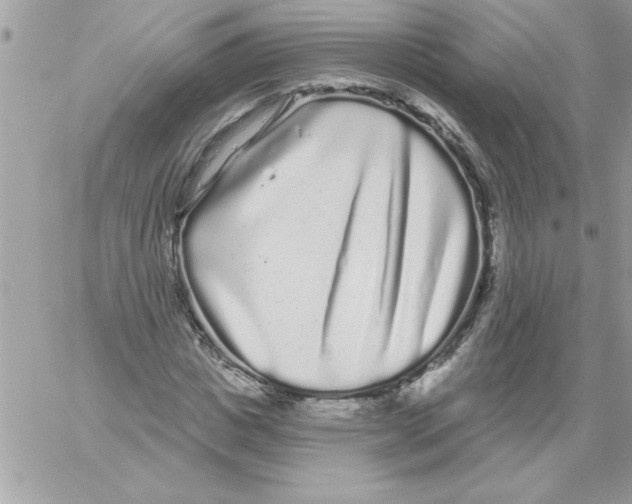 X0000061730825200512302143