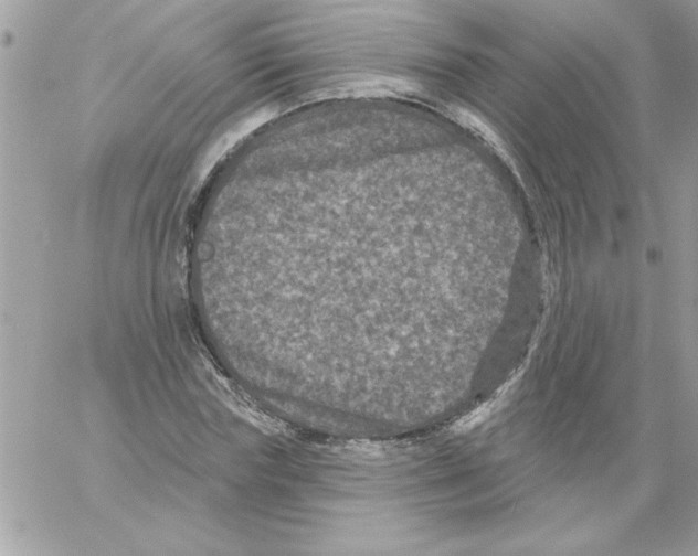 X0000061730827200512302143