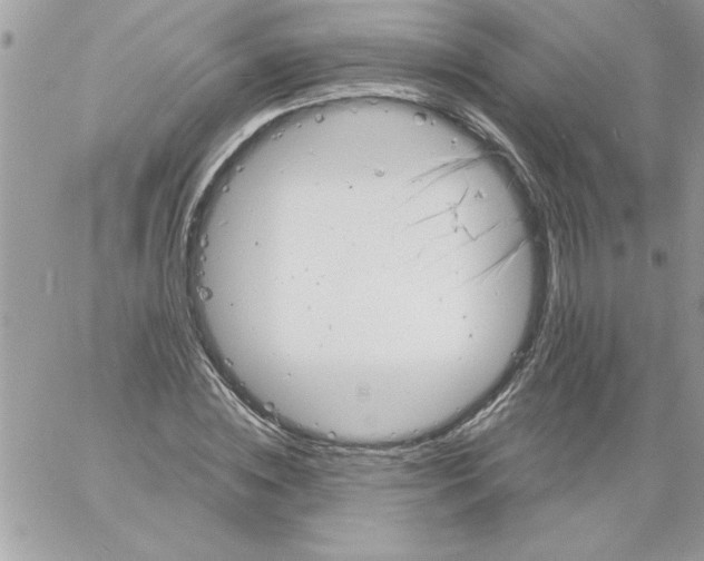 X0000061730828200512302143