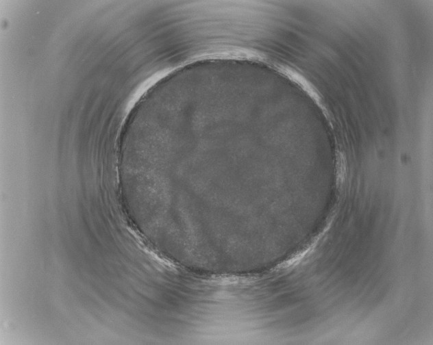 X0000061730829200512302143