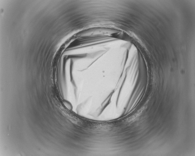 X0000061730830200512302143