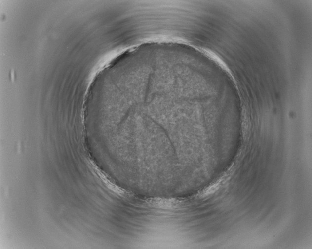 X0000061730831200512302143