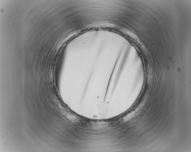 X0000061730833200512302143