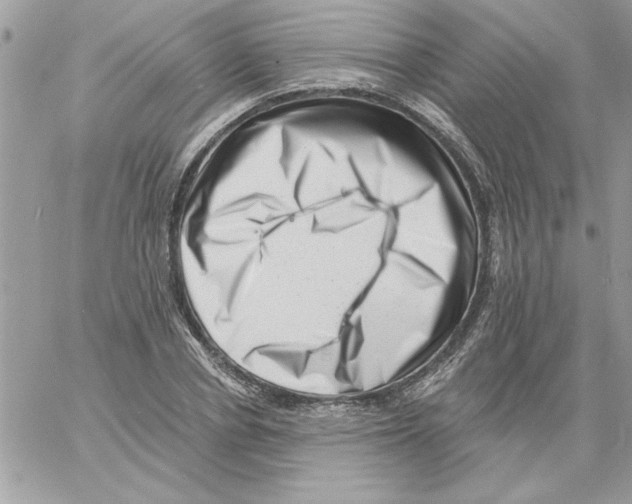 X0000061730834200512302143