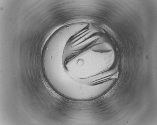 X0000061730836200512302143