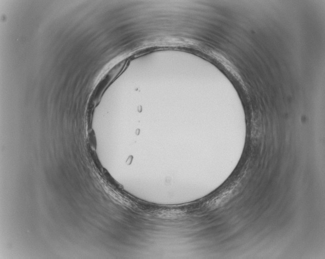 X0000061730837200512302143