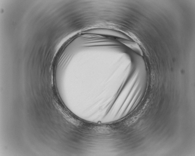 X0000061730838200512302143