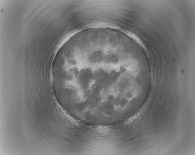 X0000061730839200512302143