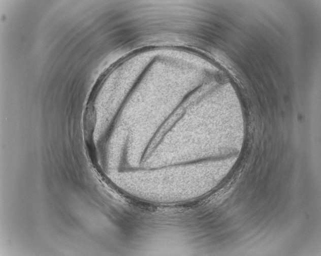 X0000061730840200512302143