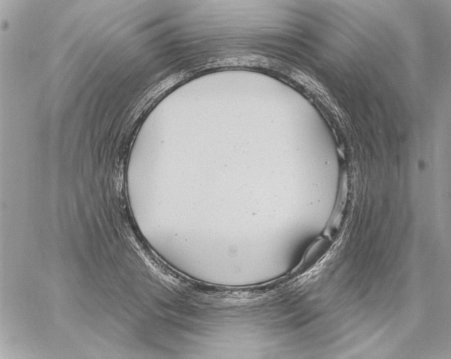 X0000061730841200512302143