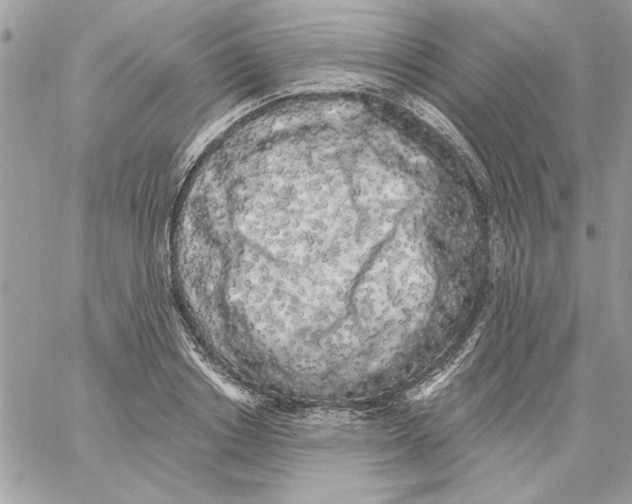 X0000061730842200512302143