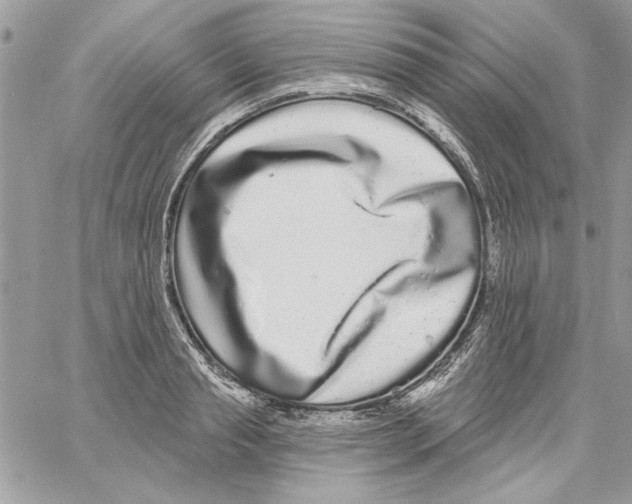 X0000061730845200512302144