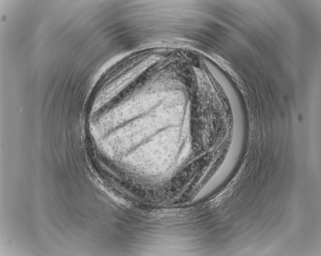 X0000061730846200512302144