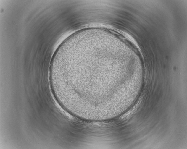 X0000061730847200512302144