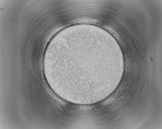 X0000061730848200512302144