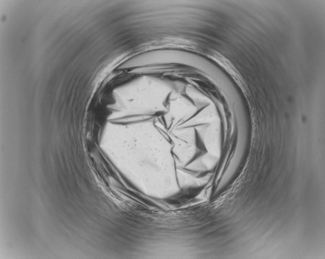 X0000061730850200512302144