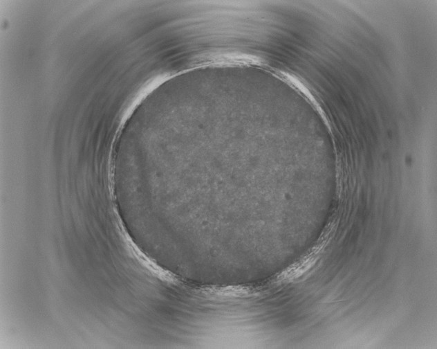 X0000061730851200512302144