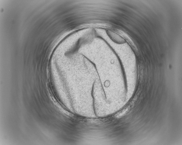 X0000061730852200512302144