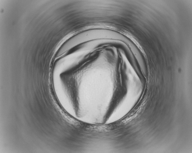 X0000061730853200512302144