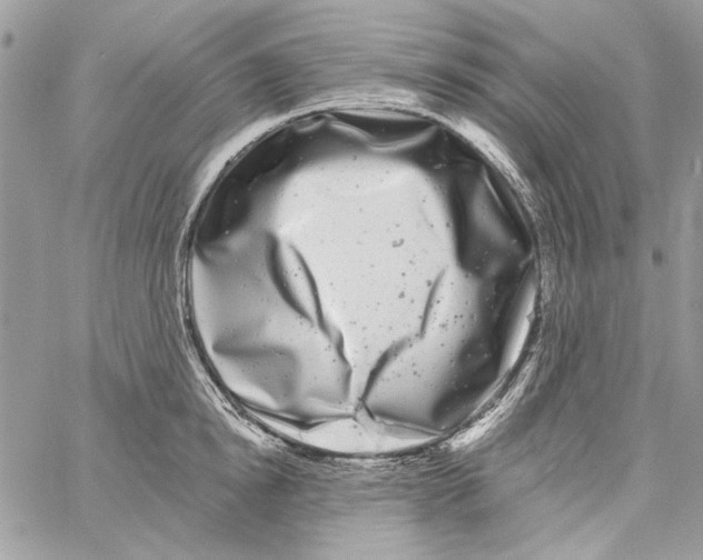 X0000061730854200512302144