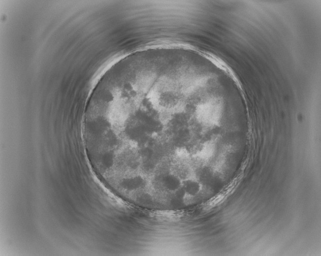 X0000061730855200512302144