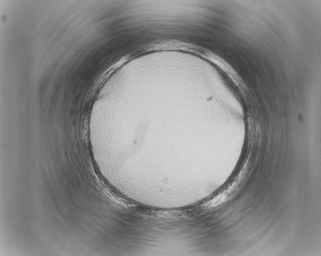 X0000061730857200512302144