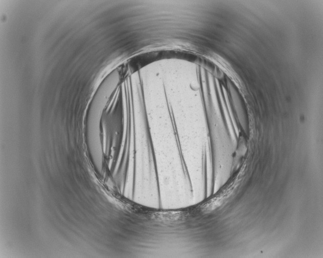 X0000061730858200512302144