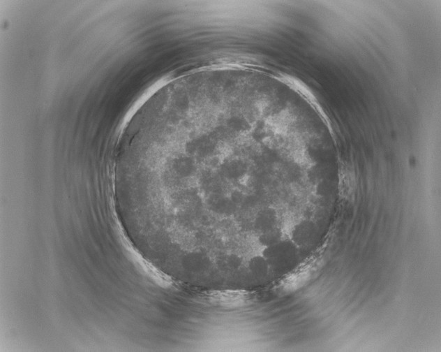 X0000061730859200512302144