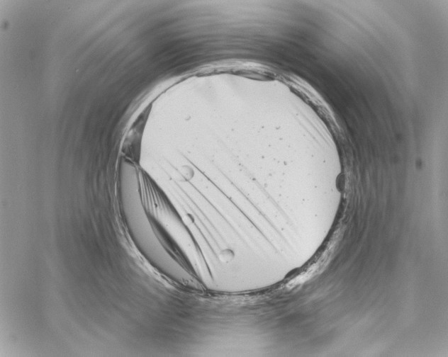 X0000061730860200512302144