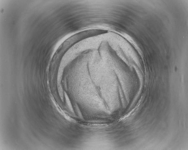 X0000061730862200512302144