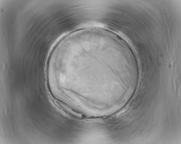 X0000061730864200512302144