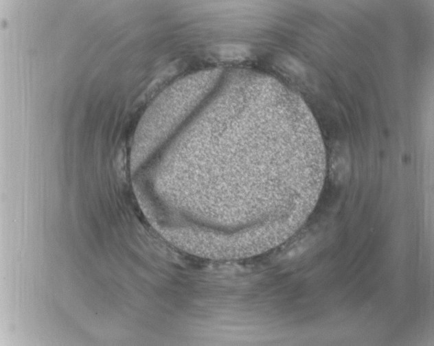 X0000061730866200512302143