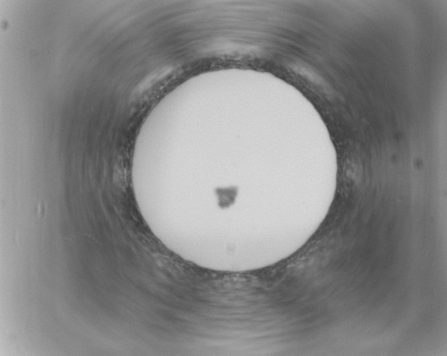 X0000061730869200512302143