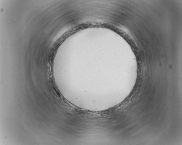 X0000061730871200512302143