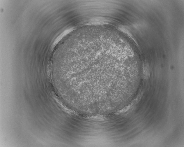 X0000061730874200512302143