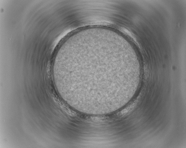 X0000061730875200512302143