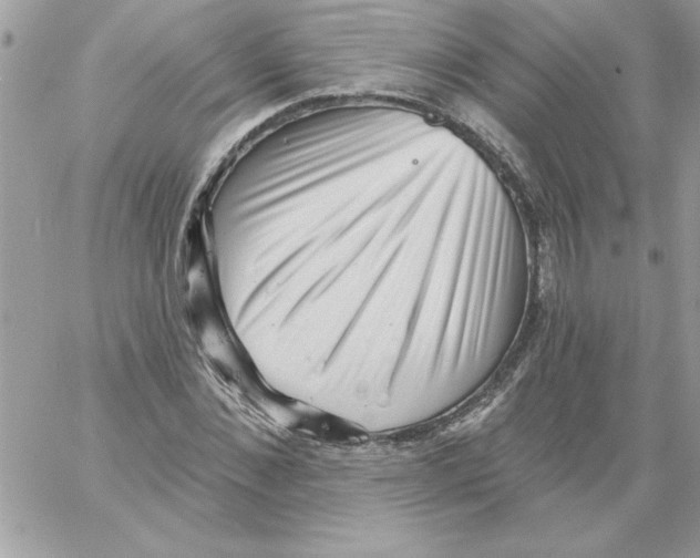 X0000061730876200512302143