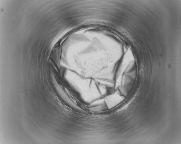 X0000061730877200512302143