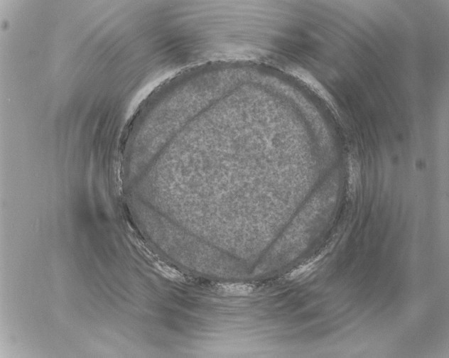 X0000061730878200512302143