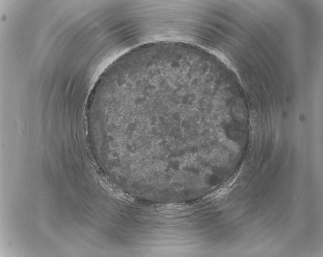 X0000061730879200512302143