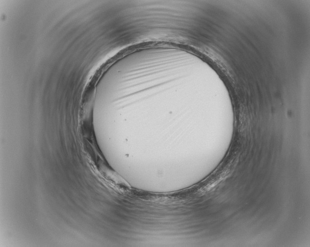 X0000061730880200512302143