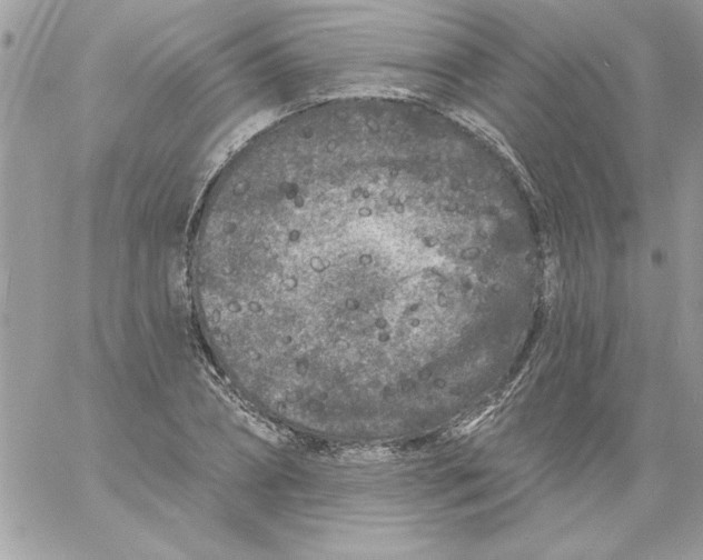 X0000061730882200512302143