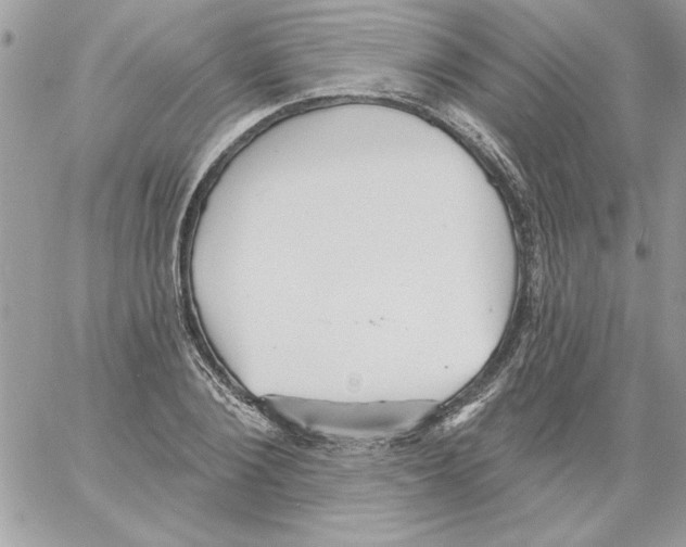 X0000061730884200512302143