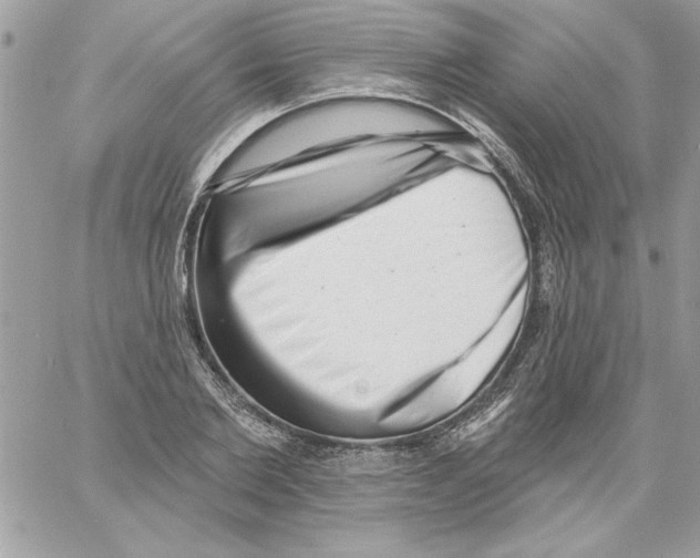 X0000061730885200512302143