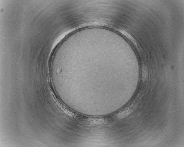 X0000061730886200512302143