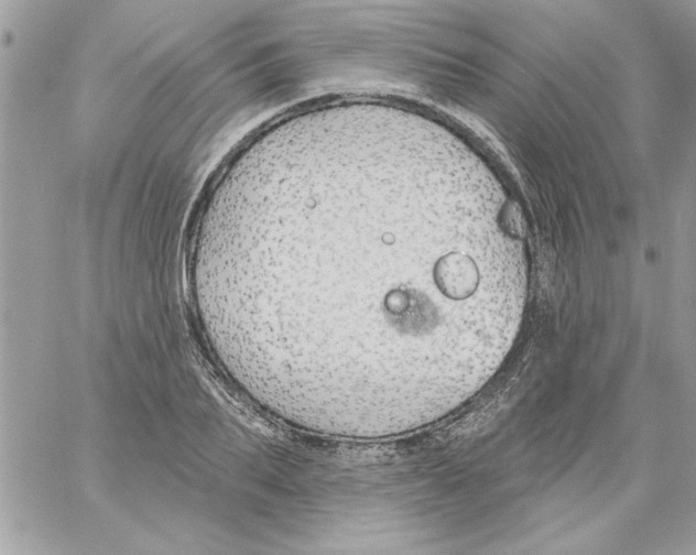 X0000061730887200512302143