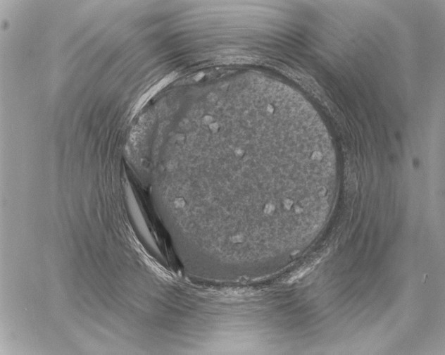 X0000061730889200512302143