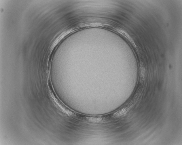 X0000061730890200512302143