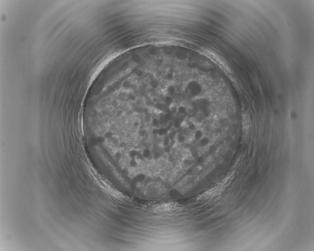 X0000061730891200512302143