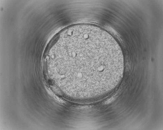 X0000061730892200512302143